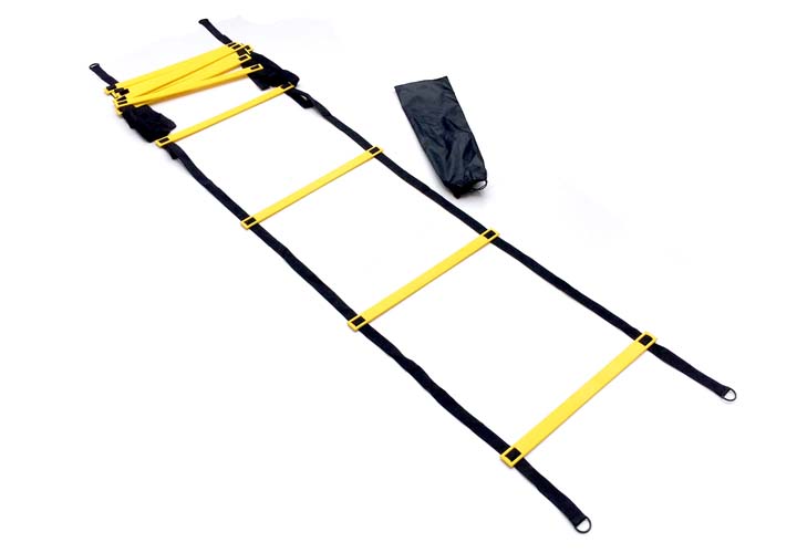 ALD-agility-ladder