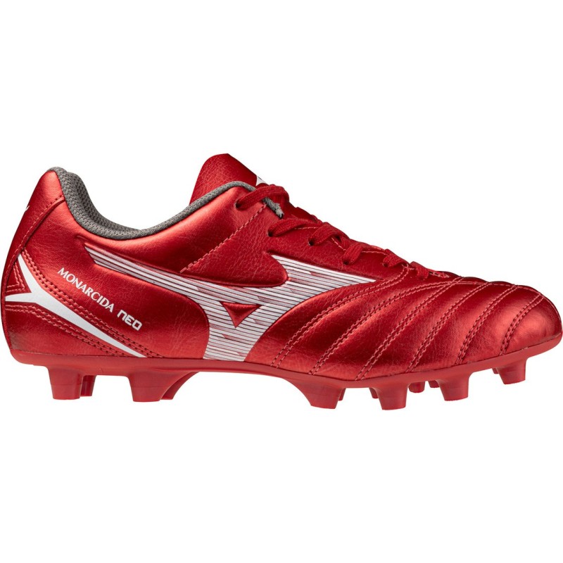 Mizuno1