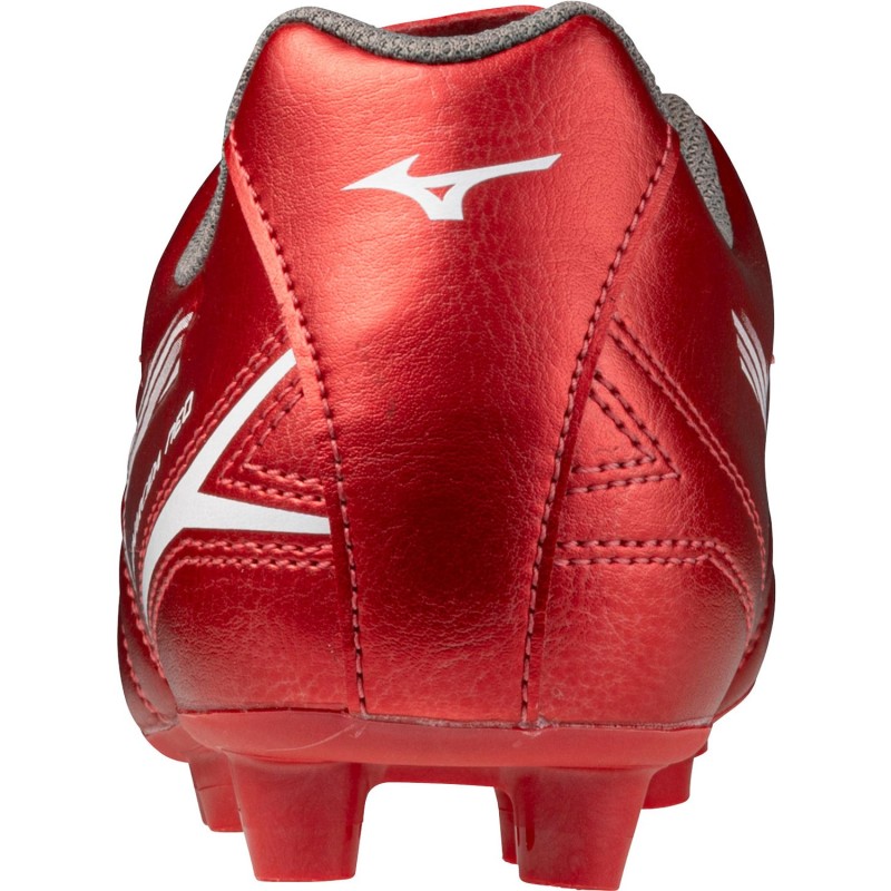 Mizuno2