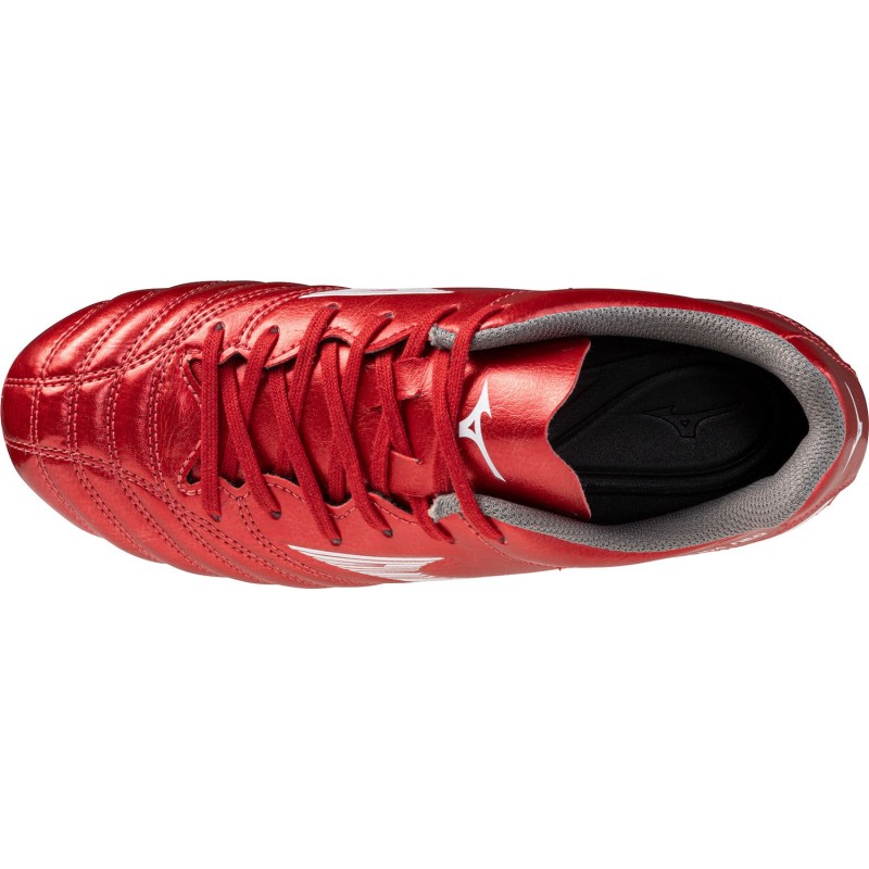 Mizuno3